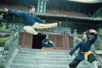 [Image: wkungfu03.jpg]